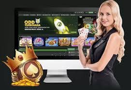 bet8bet
